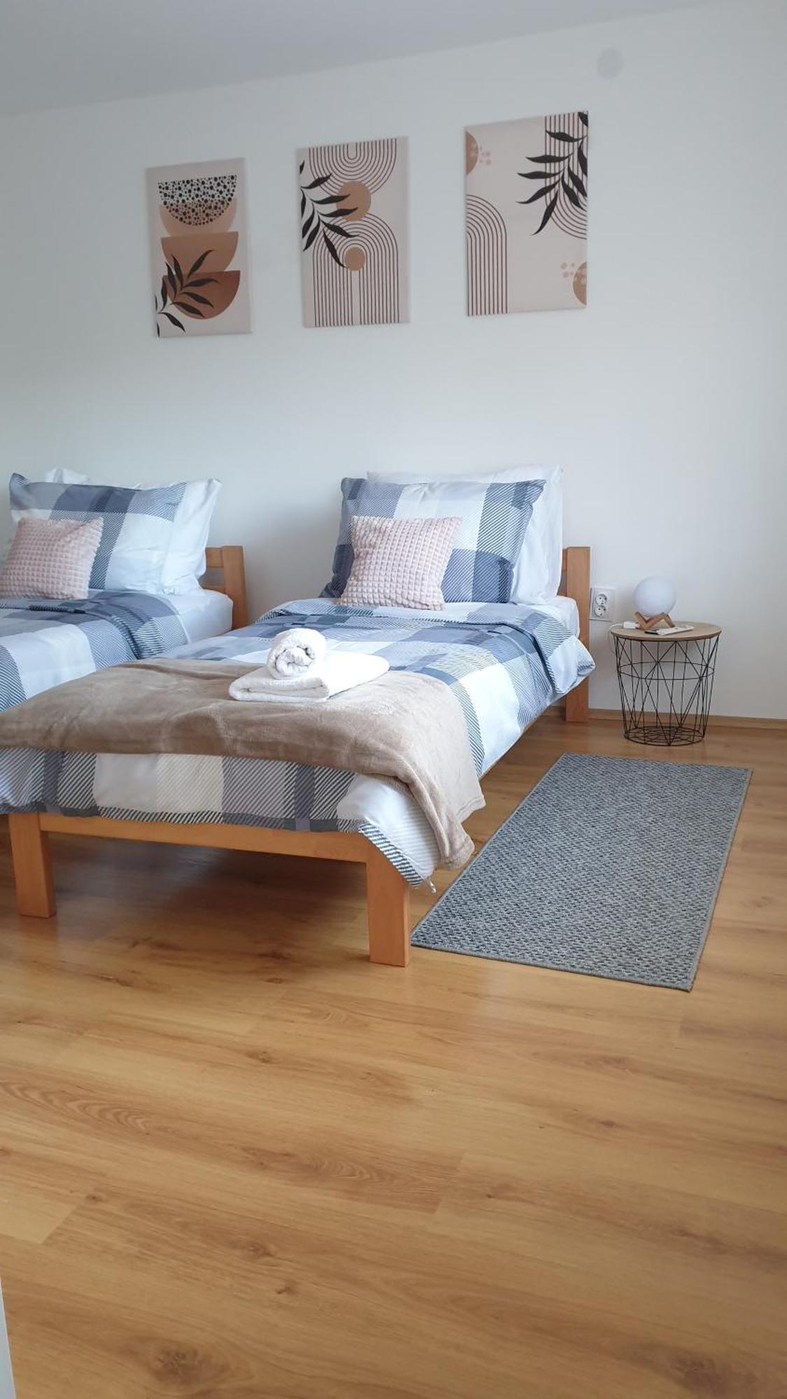Basarac Apartment