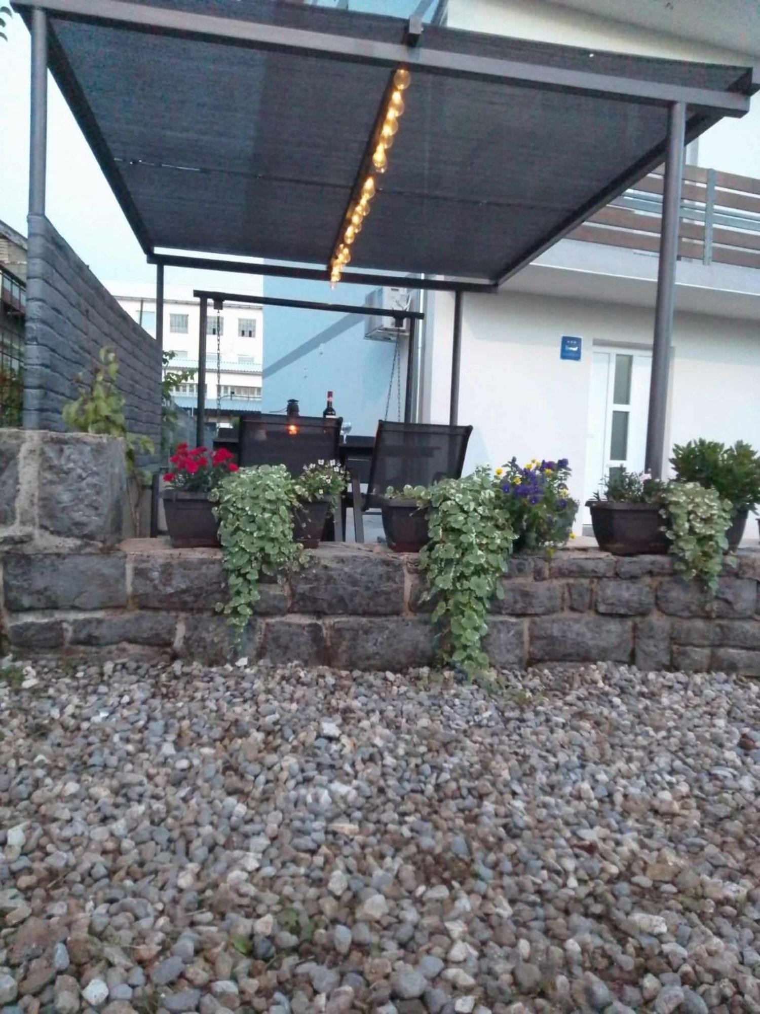 Apartment Basarac *